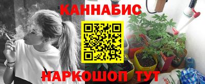 дмт Можга