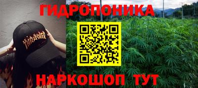 твердый Моздок