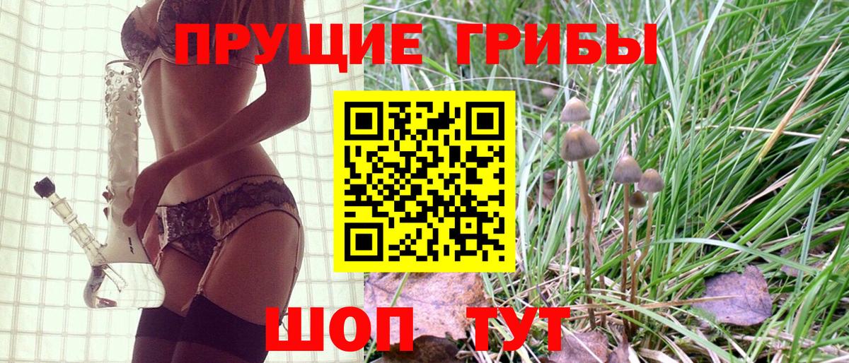 Псилоцибиновые грибы Magic Shrooms  Вход с VPN  где купить   Химки  Галлюциногенные грибы Cubensis 