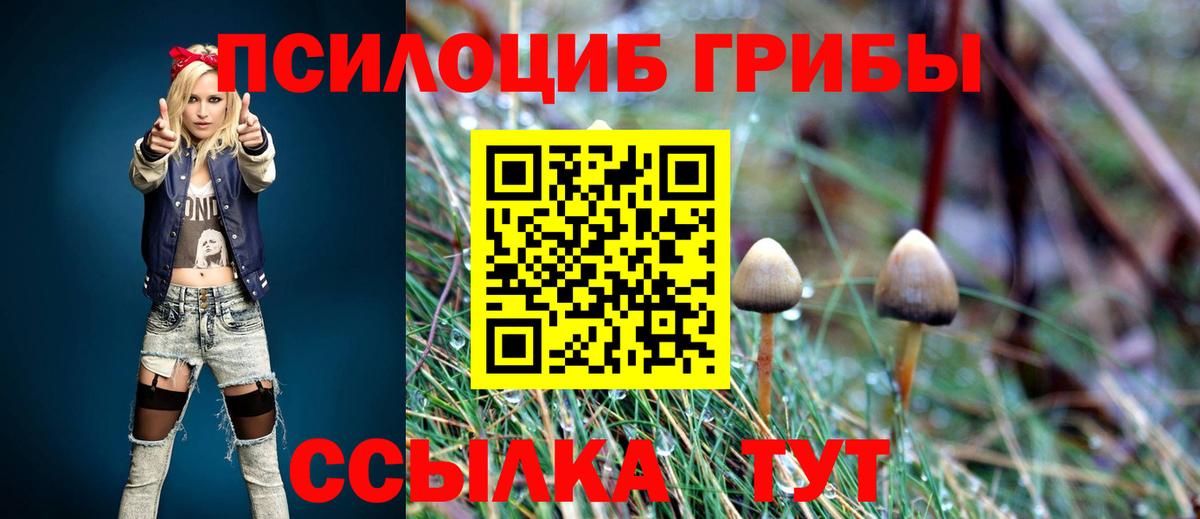 Галлюциногенные грибы Psilocybine cubensis Химки
